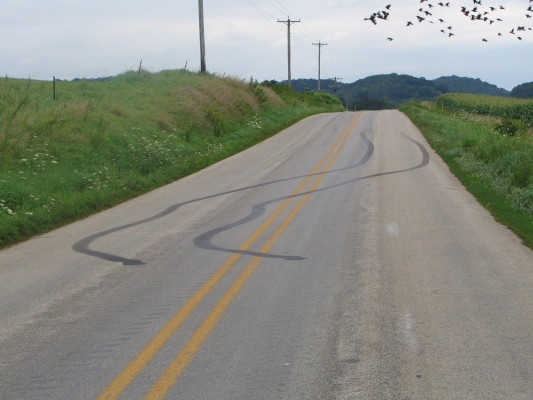 Tiretracksinroad (5)